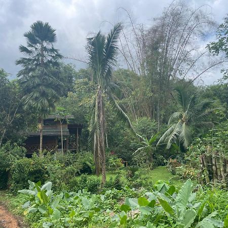 Caoni Riverside Lodge プエルト・キト エクステリア 写真