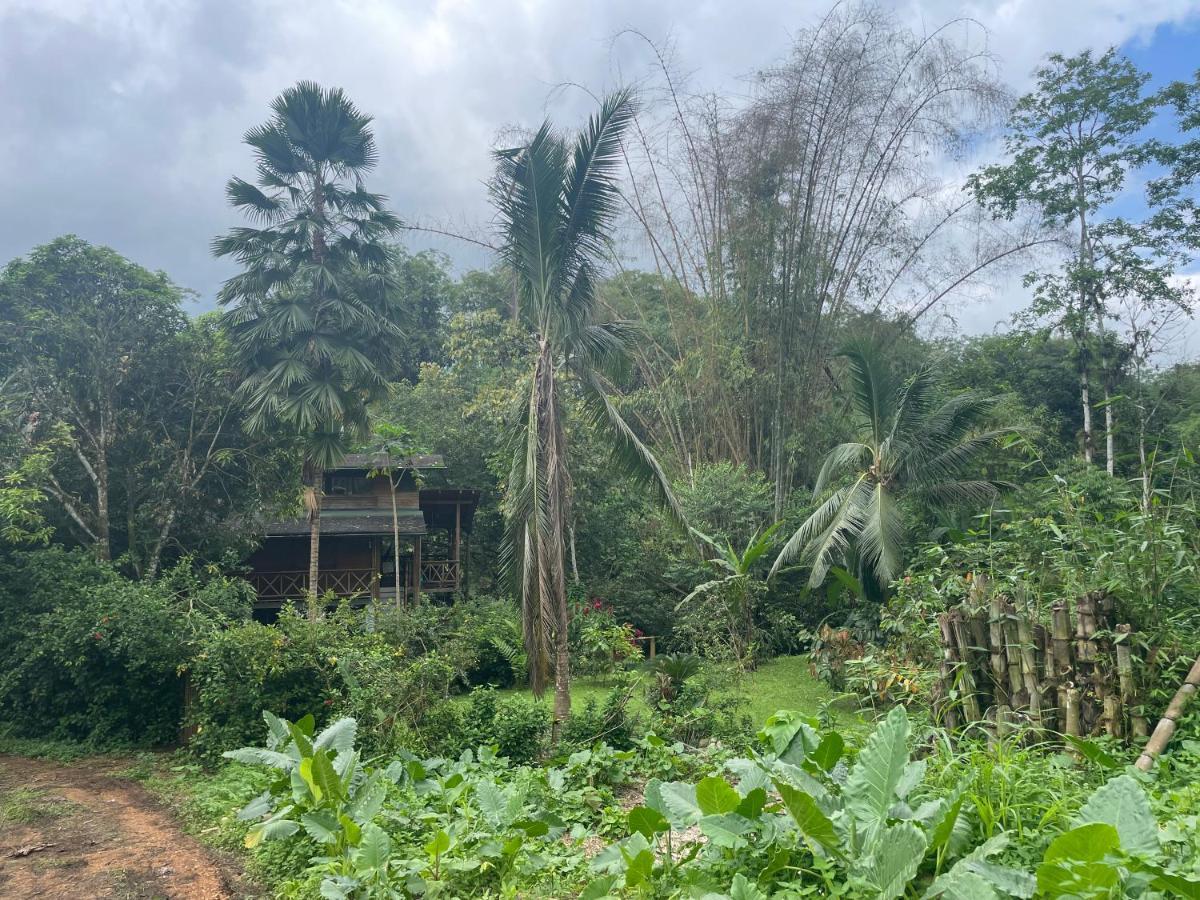 Caoni Riverside Lodge プエルト・キト エクステリア 写真