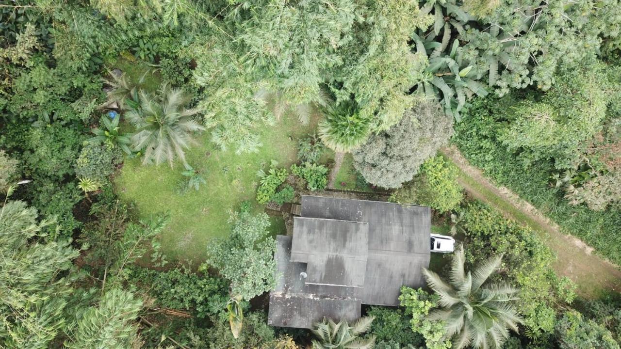 Caoni Riverside Lodge プエルト・キト エクステリア 写真
