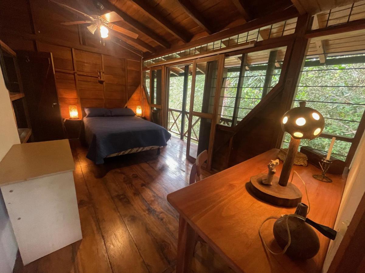 Caoni Riverside Lodge プエルト・キト エクステリア 写真