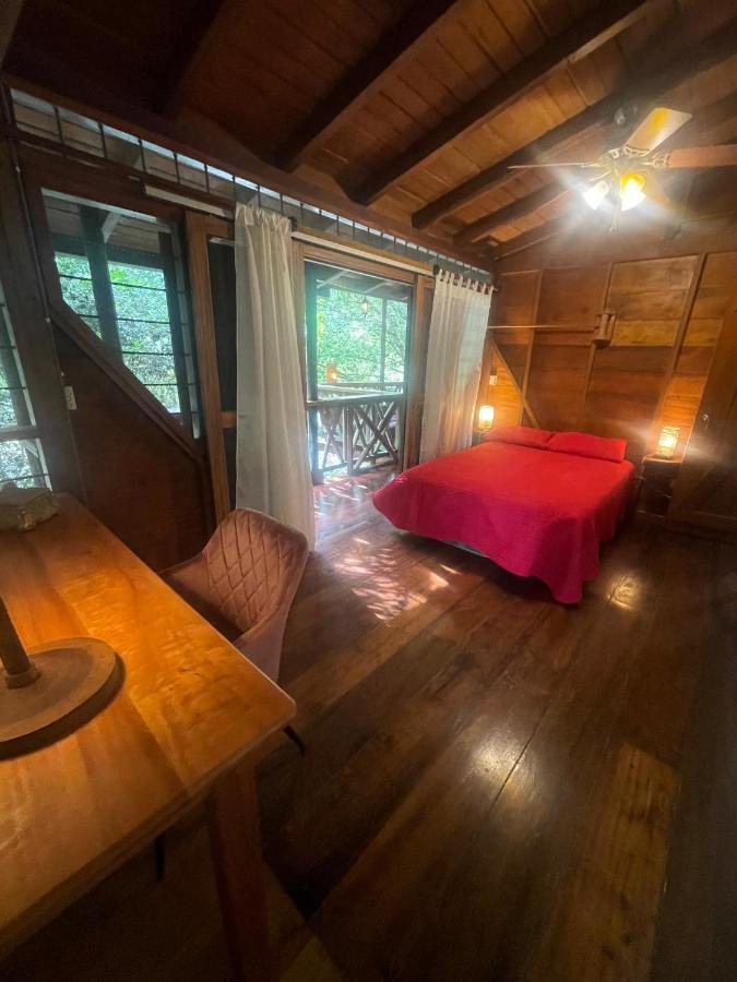 Caoni Riverside Lodge プエルト・キト エクステリア 写真