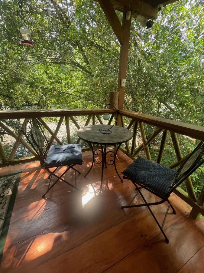 Caoni Riverside Lodge プエルト・キト エクステリア 写真